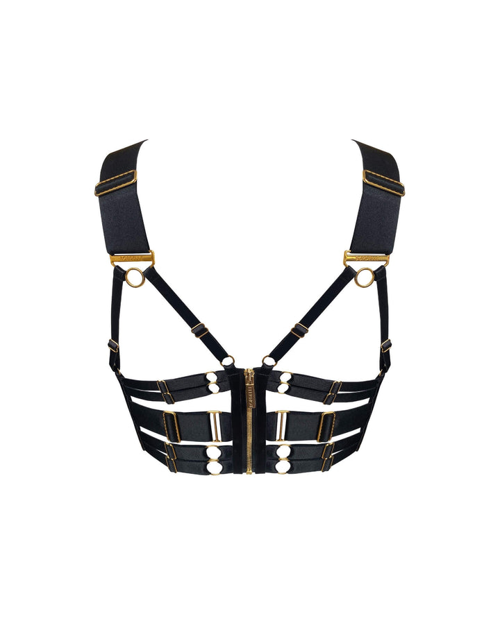 Bordelle Retta Padded Bodice Bra Black - Luxury Designer Lingerie