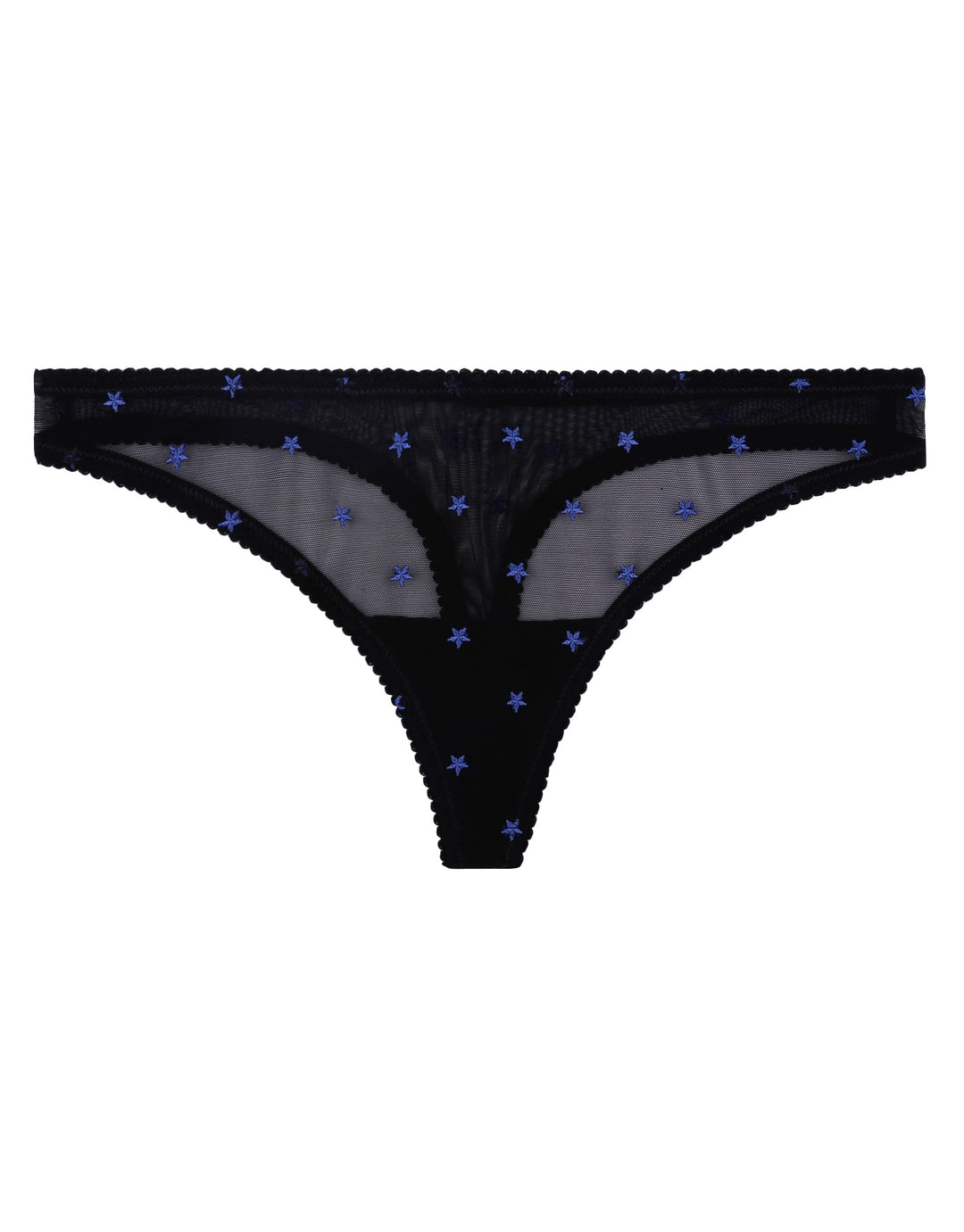 Yasmine Eslami Rebecca Thong Starry Night