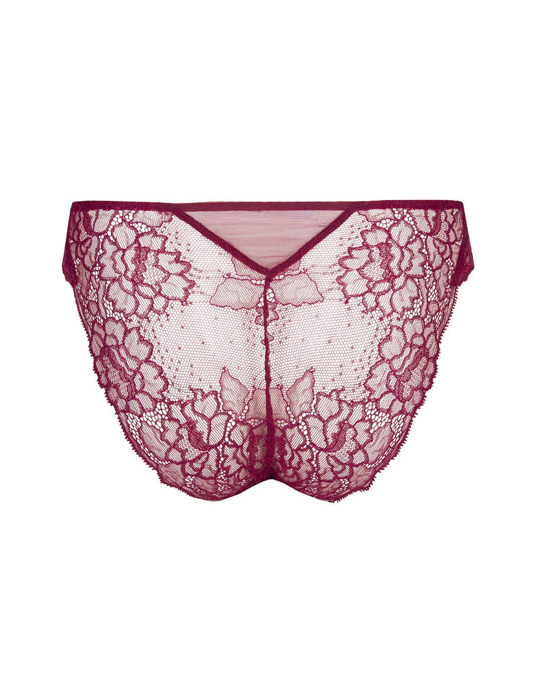 Lise Charmel Fuchsia Lace Italian Brief Sublime en Dentelle