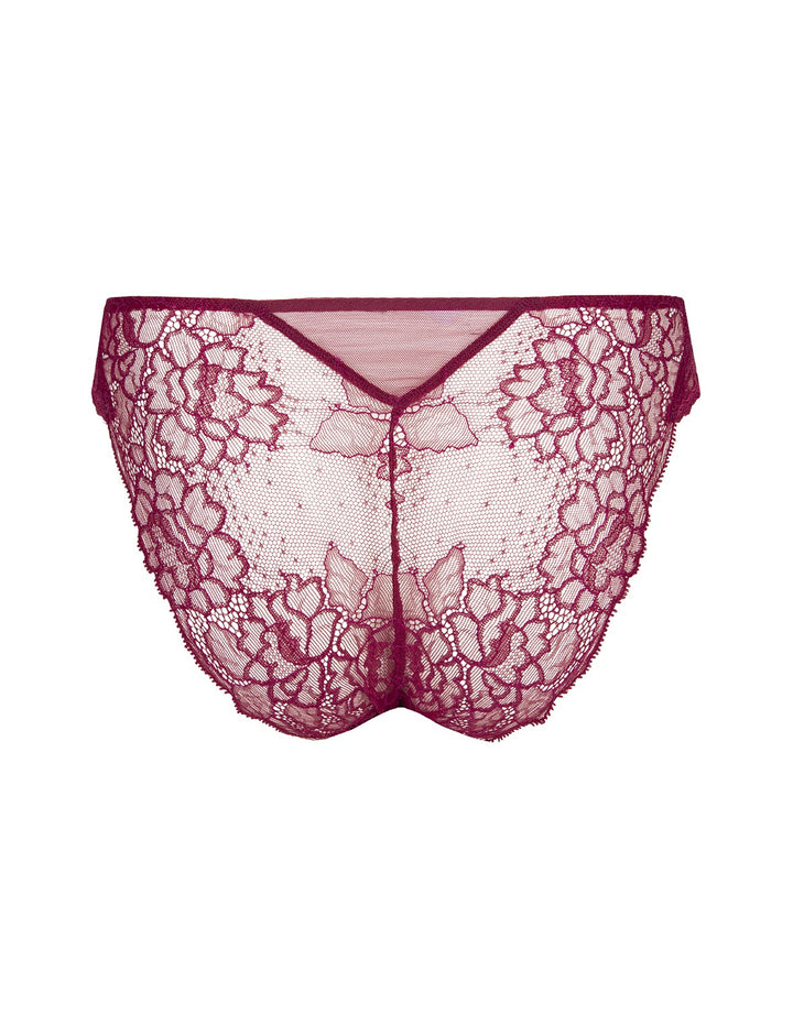 Lise Charmel Fuchsia Lace Italian Brief Sublime en Dentelle