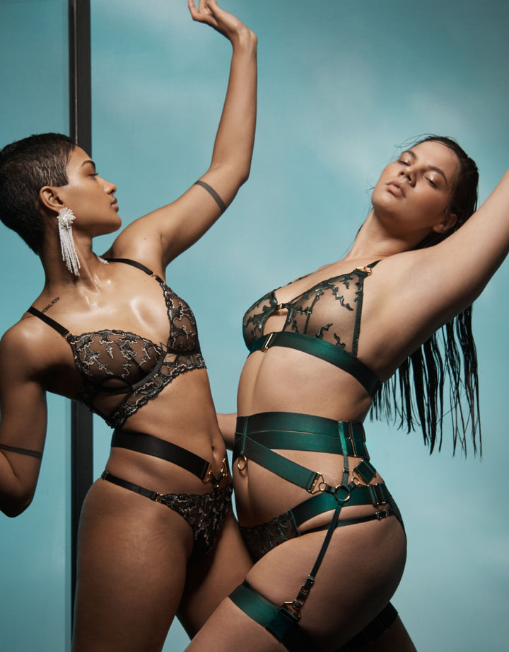 Aurea Brief in Eden